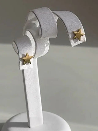 18K Solid Yellow Gold Polished Stars Post Earrings in a earring stand